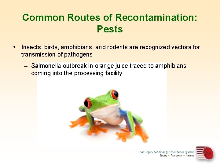 Common Routes of Recontamination: Pests • Insects, birds, amphibians, and rodents are recognized vectors