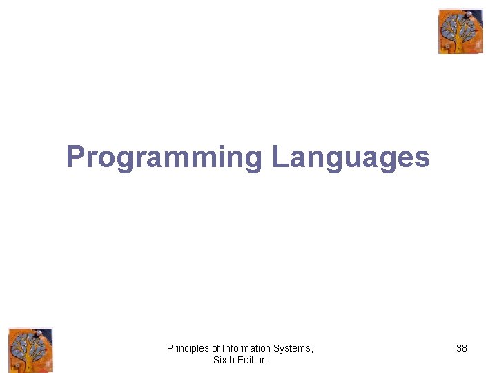 Programming Languages Principles of Information Systems, Sixth Edition 38 