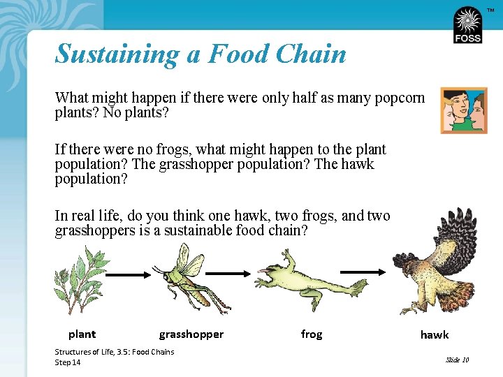 TM Sustaining a Food Chain What might happen if there were only half as