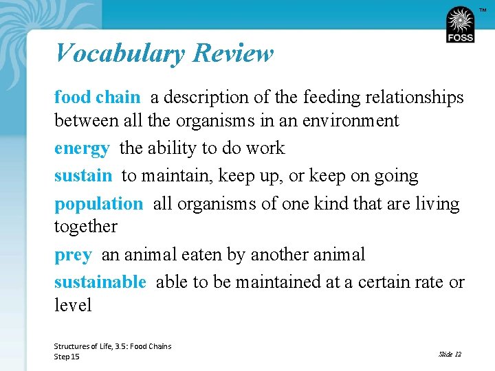 TM Vocabulary Review food chain a description of the feeding relationships between all the