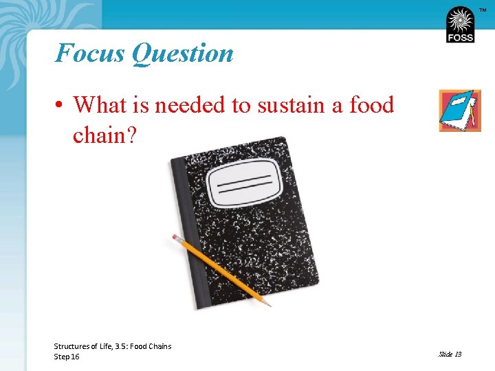 TM Focus Question • What is needed to sustain a food chain? Structures of