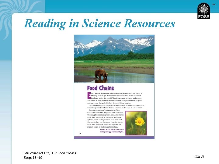 TM Reading in Science Resources Structures of Life, 3. 5: Food Chains Steps 17–
