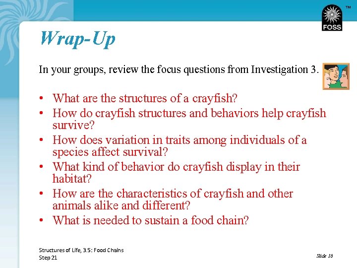 TM Wrap-Up In your groups, review the focus questions from Investigation 3. • What