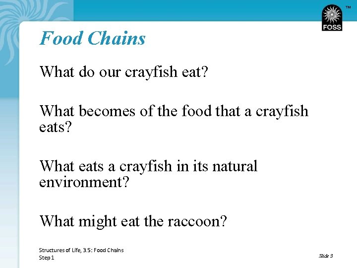 TM Food Chains What do our crayfish eat? What becomes of the food that