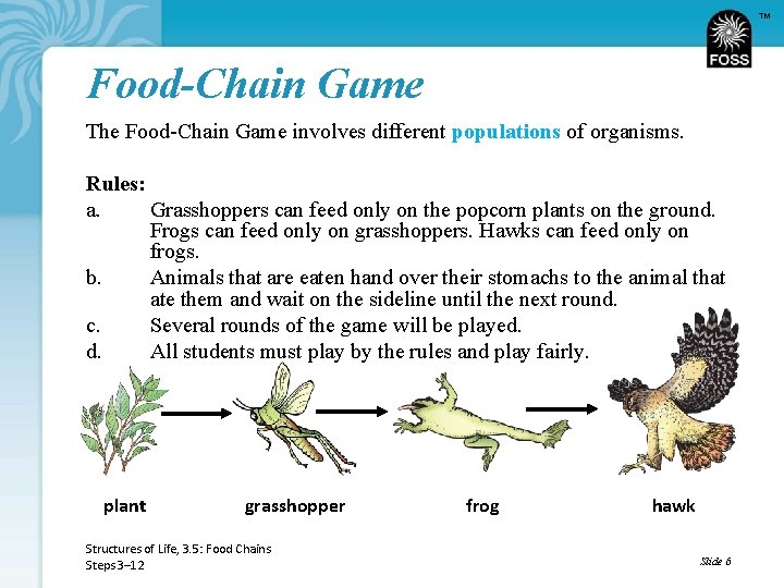 TM Food-Chain Game The Food-Chain Game involves different populations of organisms. Rules: a. Grasshoppers