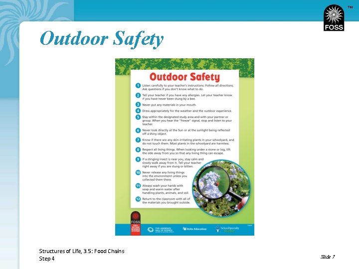 TM Outdoor Safety Structures of Life, 3. 5: Food Chains Step 4 Slide 7