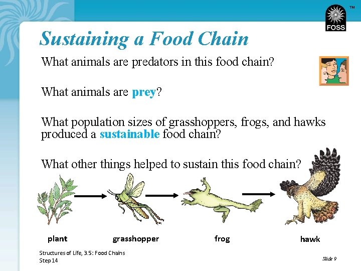 TM Sustaining a Food Chain What animals are predators in this food chain? What