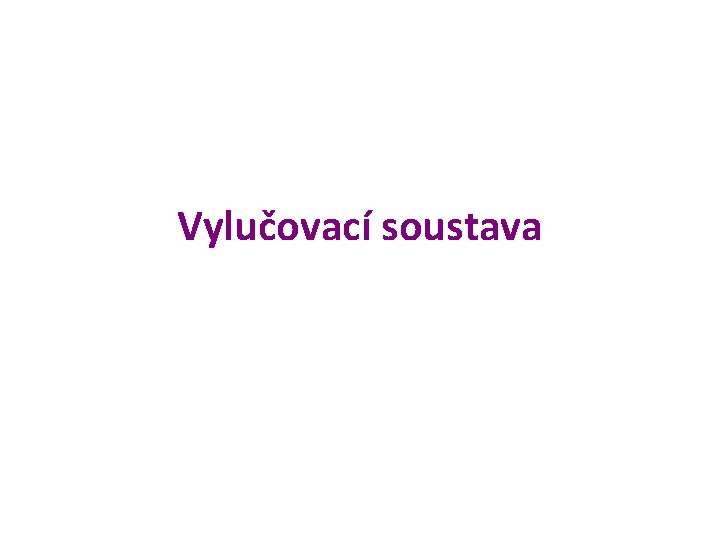 Vylučovací soustava 