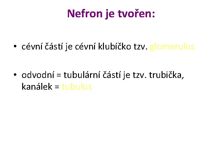 Nefron je tvořen: • cévní částí je cévní klubíčko tzv. glomerulus • odvodní =