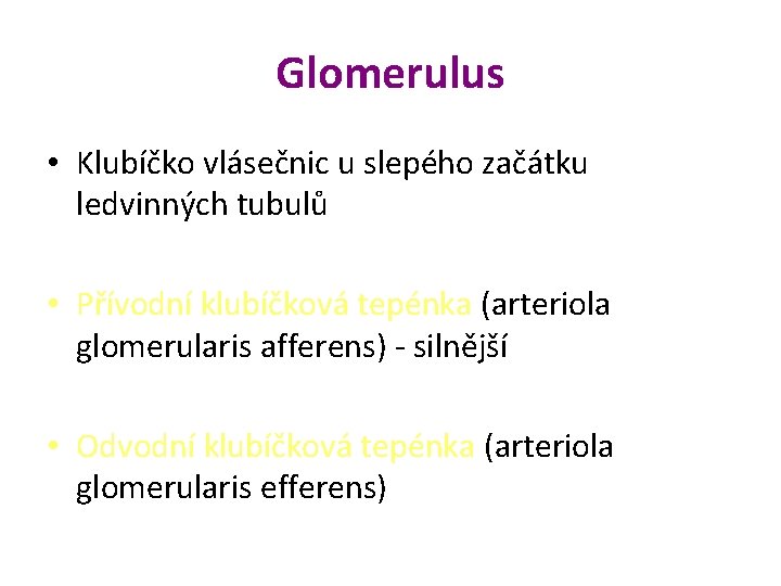 Glomerulus • Klubíčko vlásečnic u slepého začátku ledvinných tubulů • Přívodní klubíčková tepénka (arteriola