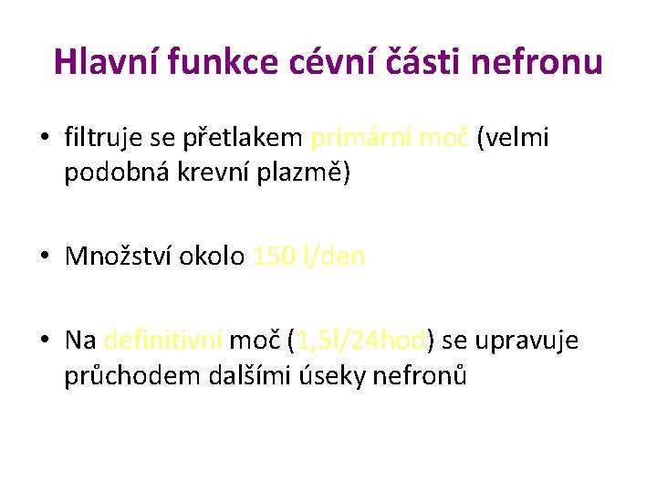 Hlavní funkce cévní části nefronu • filtruje se přetlakem primární moč (velmi podobná krevní