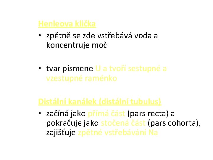 Henleova klička • zpětně se zde vstřebává voda a koncentruje moč • tvar písmene