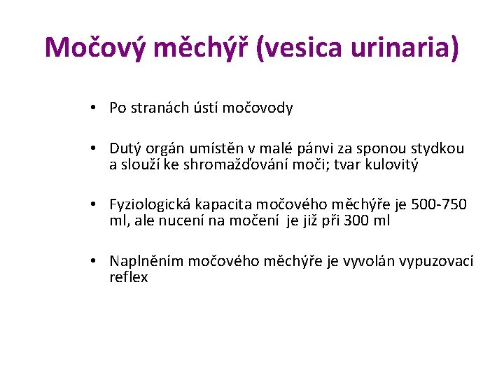 Močový měchýř (vesica urinaria) • Po stranách ústí močovody • Dutý orgán umístěn v