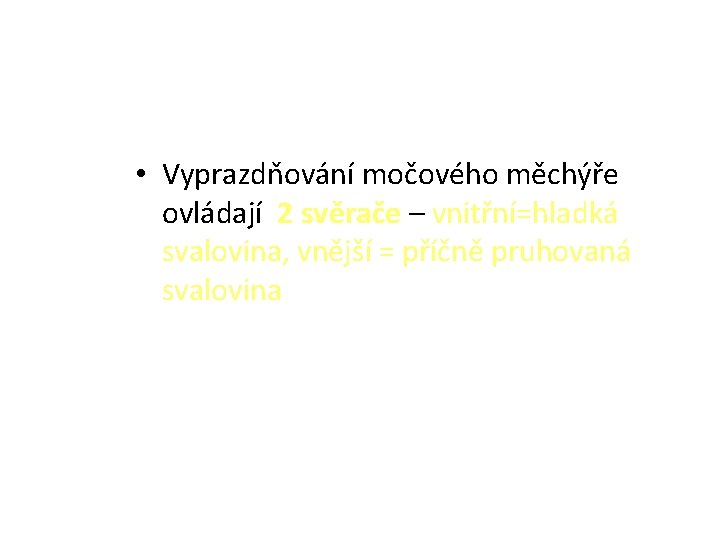  • Vyprazdňování močového měchýře ovládají 2 svěrače – vnitřní=hladká svalovina, vnější = příčně
