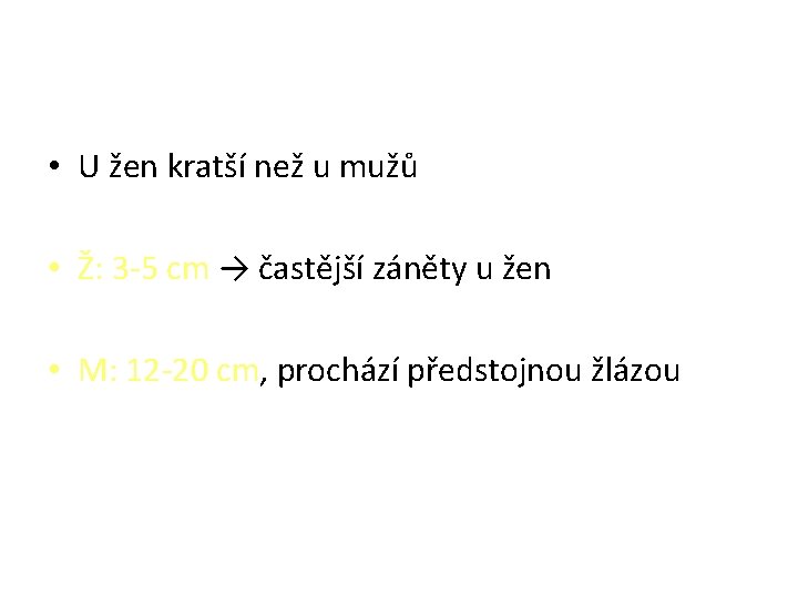  • U žen kratší než u mužů • Ž: 3 -5 cm →