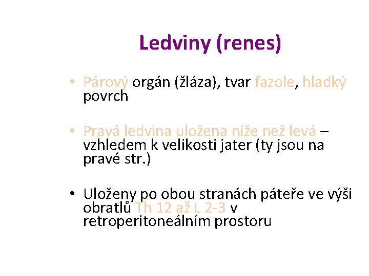  Ledviny (renes) • Párový orgán (žláza), tvar fazole, hladký povrch • Pravá ledvina