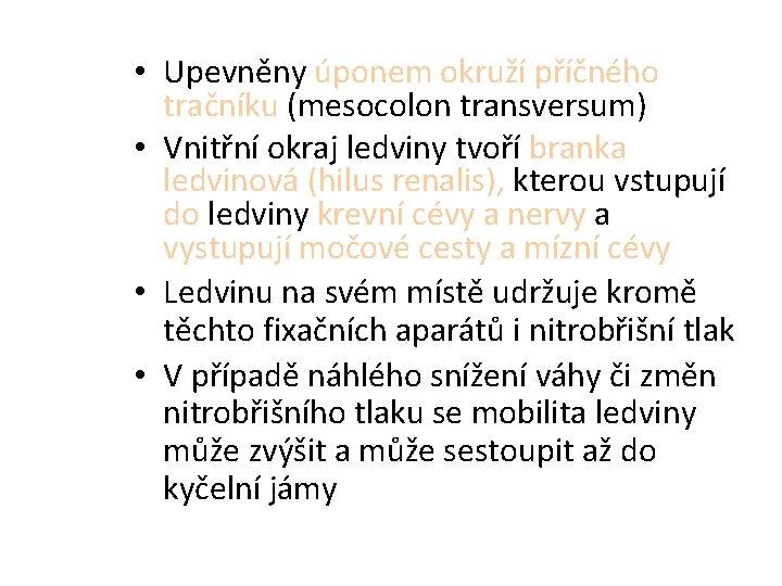  • Upevněny úponem okruží příčného tračníku (mesocolon transversum) • Vnitřní okraj ledviny tvoří