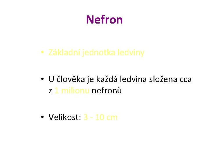 Nefron • Základní jednotka ledviny • U člověka je každá ledvina složena cca z