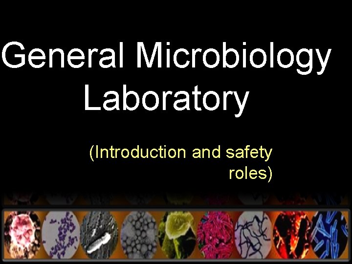 General Microbiology Laboratory (Introduction and safety roles) 