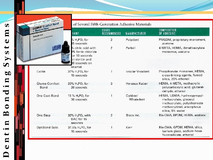 Dentin Bonding Systems 