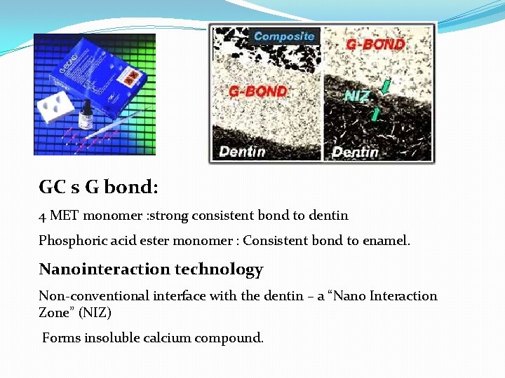 GC s G bond: 4 MET monomer : strong consistent bond to dentin Phosphoric