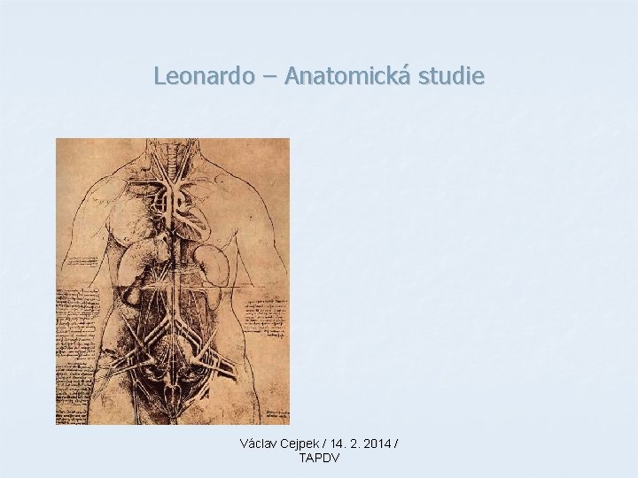 Leonardo – Anatomická studie Václav Cejpek / 14. 2. 2014 / TAPDV 