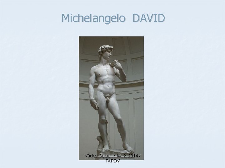 Michelangelo DAVID Václav Cejpek / 14. 2. 2014 / TAPDV 