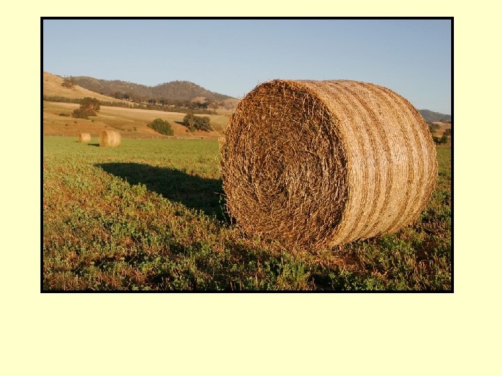 hay 