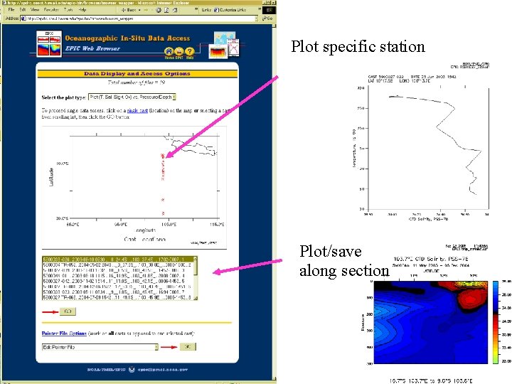 Plot specific station Plot/save along section 