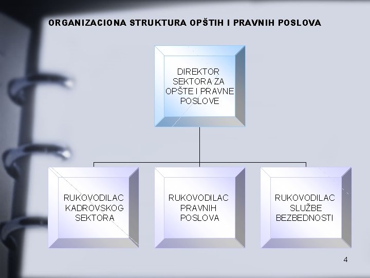 ORGANIZACIONA STRUKTURA OPŠTIH I PRAVNIH POSLOVA DIREKTOR SEKTORA ZA OPŠTE I PRAVNE POSLOVE RUKOVODILAC