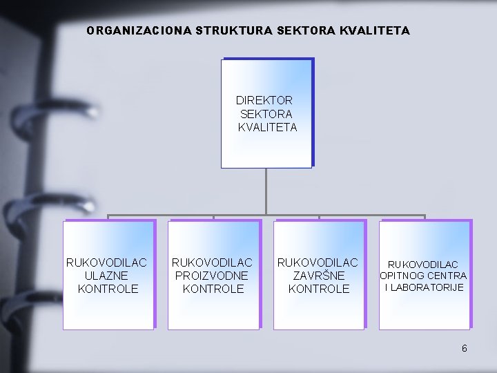 ORGANIZACIONA STRUKTURA SEKTORA KVALITETA DIREKTOR SEKTORA KVALITETA RUKOVODILAC ULAZNE KONTROLE RUKOVODILAC PROIZVODNE KONTROLE RUKOVODILAC