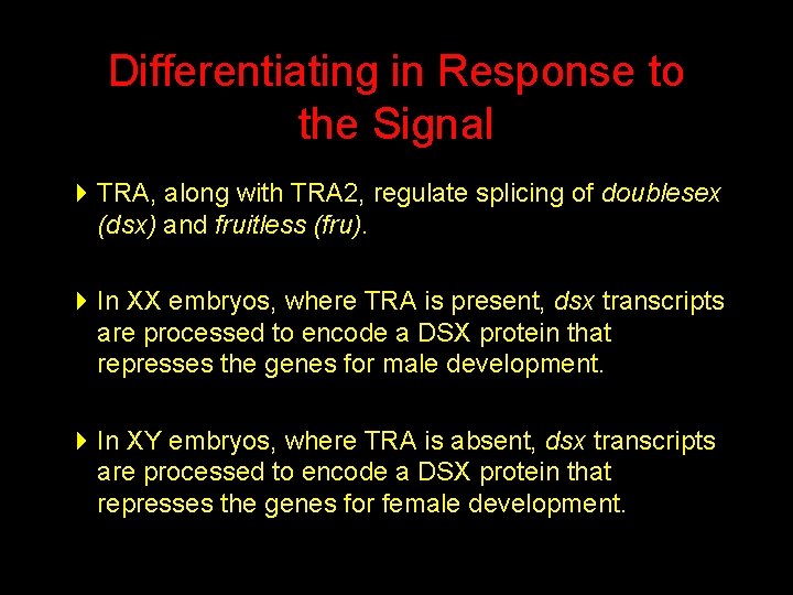 Differentiating in Response to the Signal 4 TRA, along with TRA 2, regulate splicing