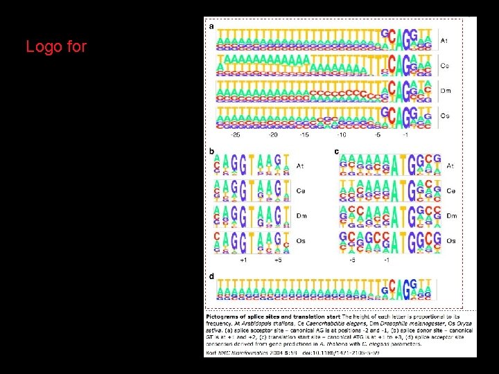 Logo for a) Splice acceptor b) Splice Donor c) Initiator Met 