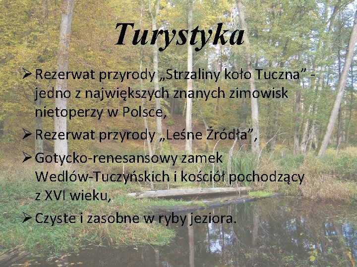 Turystyka Ø Rezerwat przyrody „Strzaliny koło Tuczna” jedno z największych znanych zimowisk nietoperzy w Turystyka Ø Rezerwat przyrody „Strzaliny koło Tuczna” jedno z największych znanych zimowisk nietoperzy w