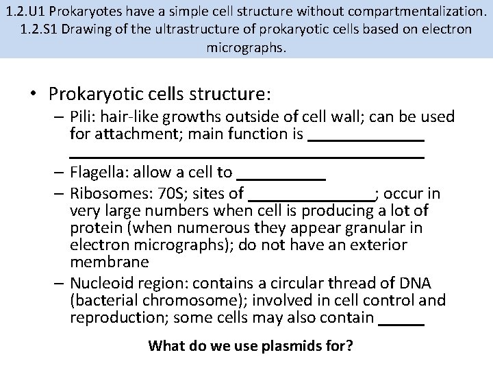 1. 2. U 1 Prokaryotes have a simple cell structure without compartmentalization. 1. 2.