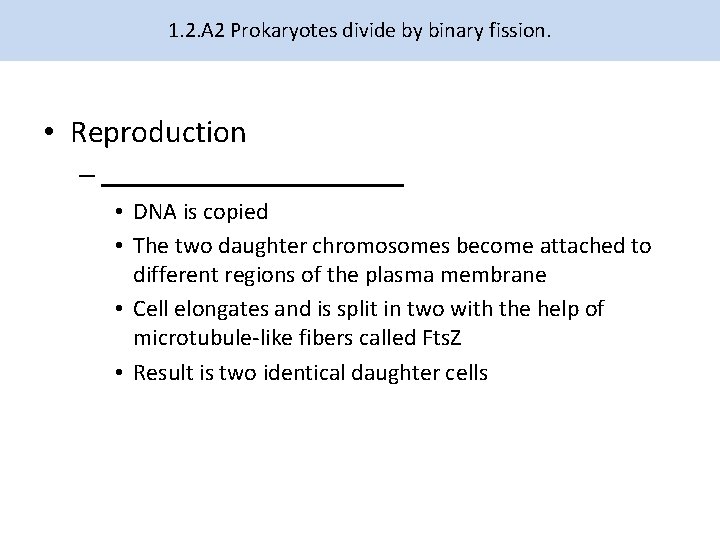 1. 2. A 2 Prokaryotes divide by binary fission. • Reproduction – • DNA