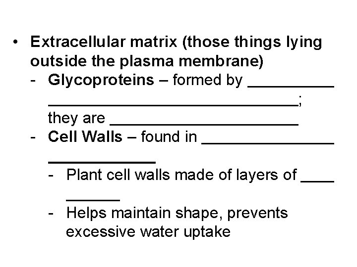  • Extracellular matrix (those things lying outside the plasma membrane) - Glycoproteins –