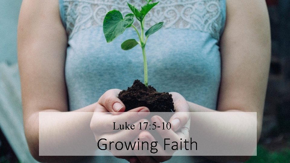 Luke 17: 5 -10 Growing Faith 
