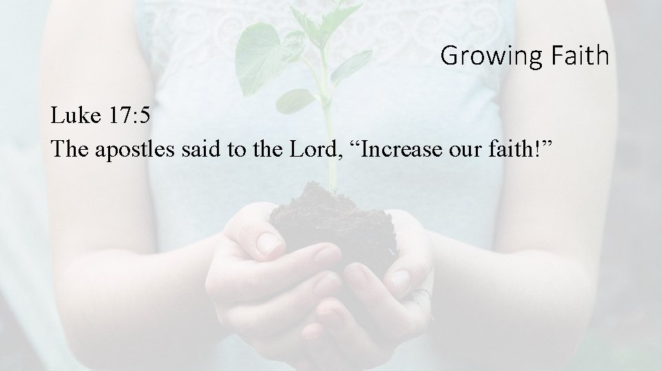 Growing Faith Luke 17: 5 The apostles said to the Lord, “Increase our faith!”