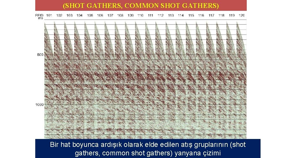 (SHOT GATHERS, COMMON SHOT GATHERS) Bir hat boyunca ardışık olarak elde edilen atış gruplarının