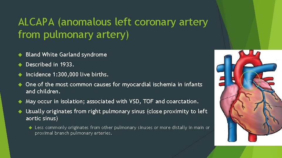 ALCAPA (anomalous left coronary artery from pulmonary artery) Bland White Garland syndrome Described in