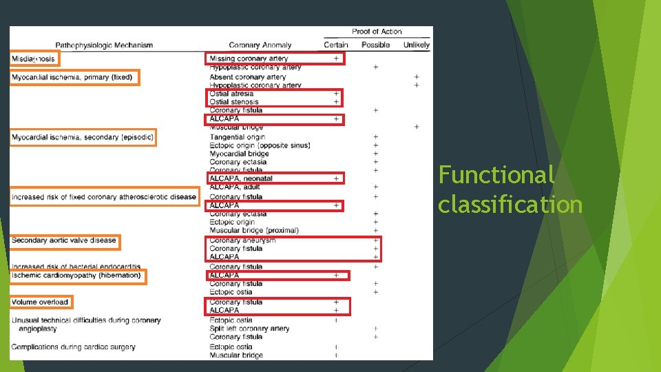 Functional classification 