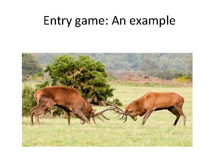 Entry game: An example 