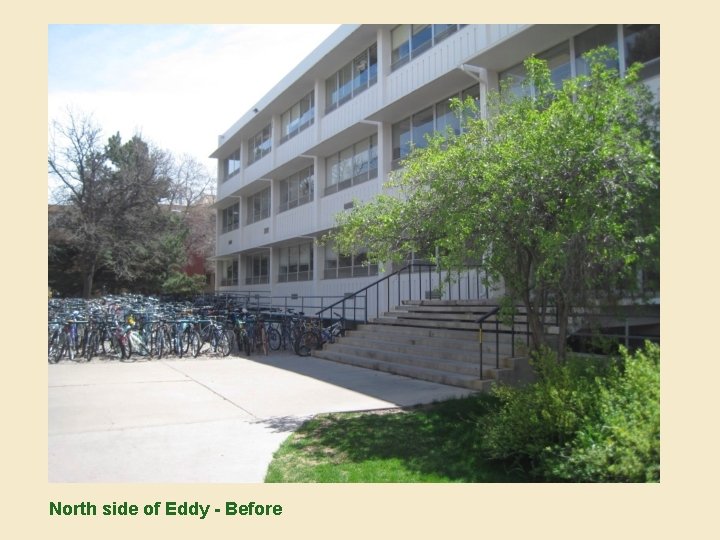 North side of Eddy - Before 