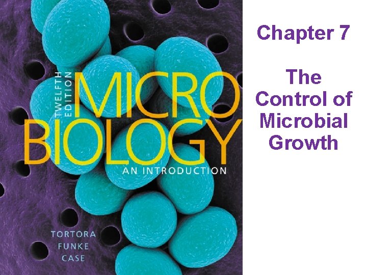 Chapter 7 The Control of Microbial Growth 