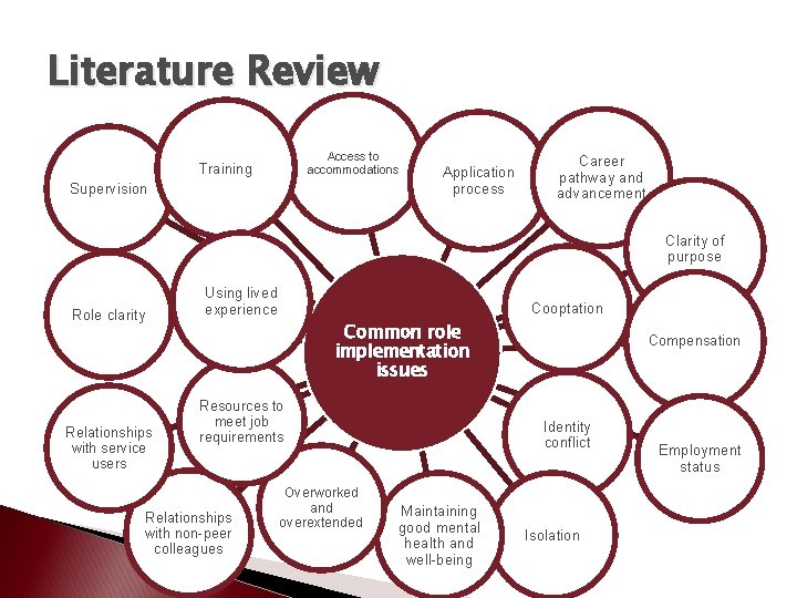 Literature Review Access to accommodations Training Supervision Application process Career pathway and advancement Clarity