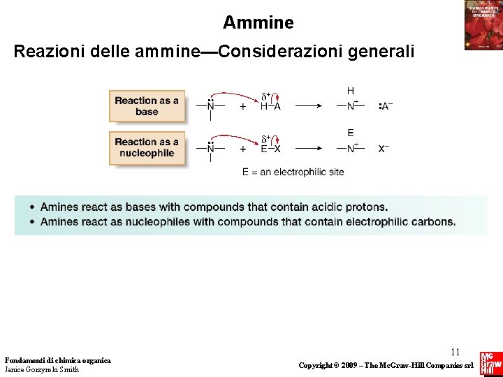 Ammine Reazioni delle ammine—Considerazioni generali Fondamenti di chimica organica Janice Gorzynski Smith 11 Copyright