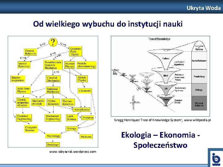 Ukryta Woda Od wielkiego wybuchu do instytucji nauki Gregg Henriques' Tree of Knowledge System’,