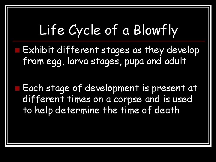 Life Cycle of a Blowfly n n Exhibit different stages as they develop from Life Cycle of a Blowfly n n Exhibit different stages as they develop from