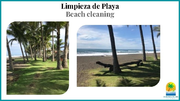 Limpieza de Playa Beach cleaning 